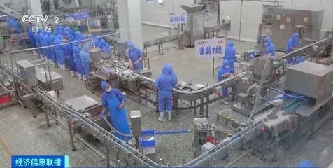 寵物食品出口火熱 4個月突破30億元，創歷史新高